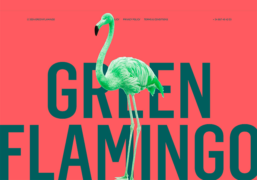 Diseño web Green Flamingo